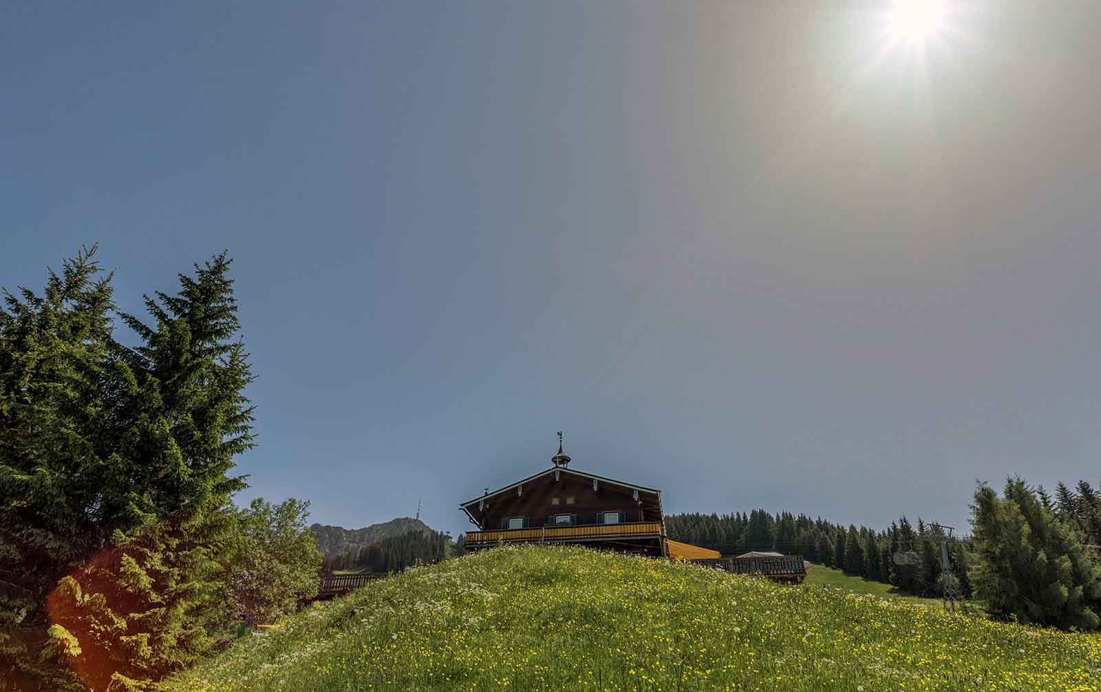 Angerer Alm St. Johann Tyrol Austria