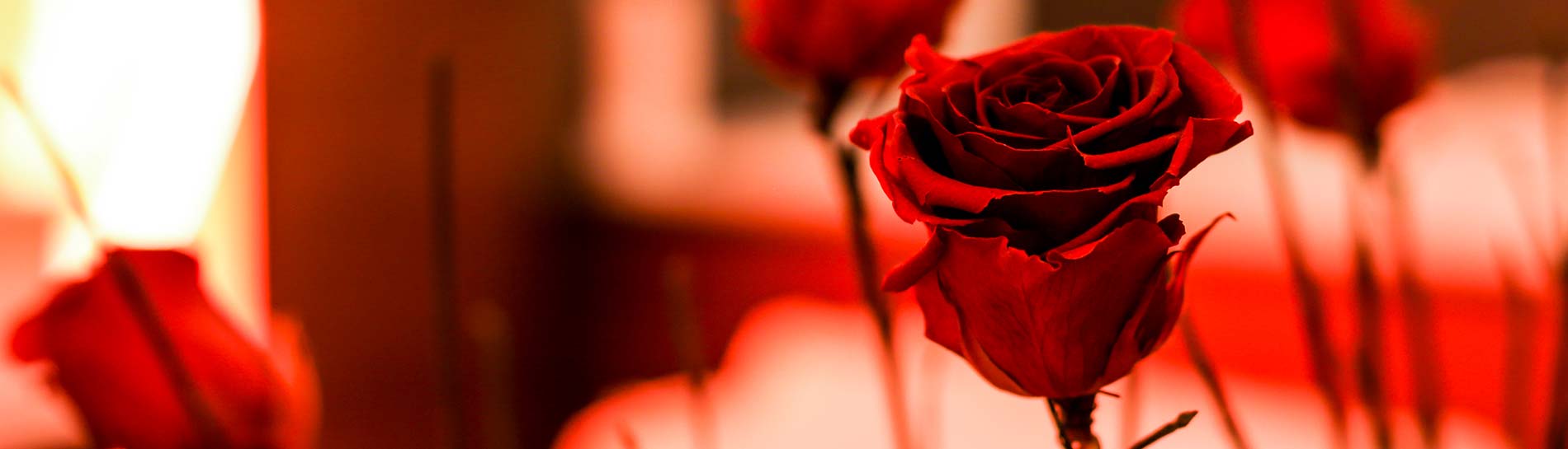 Valentine’s Day gift idea: romantic getaway at the Rosengarten Valentines Love