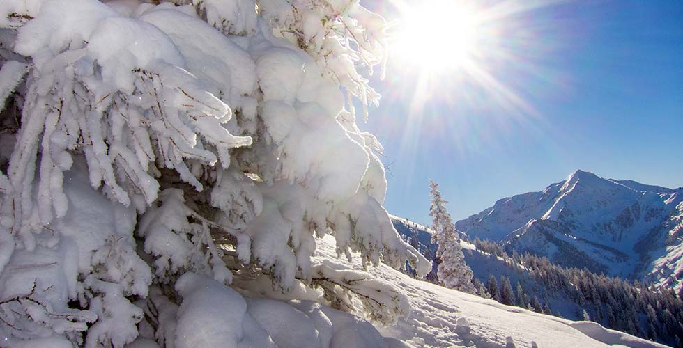 Winter sports destinations Austria South Tyrol