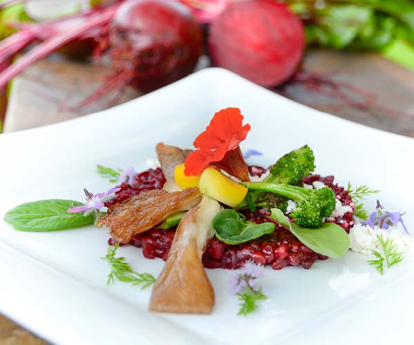 Fasting Felicitas Karlinger_One week fast_Offer Niche destinations Luxury resorts Austria Belgium Morocco Italy